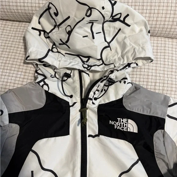 The North Face White, Black & Gray Graphic Hooded Bomber Jacket - Picture 4 of 14
